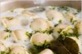 Homemade dumplings: recipes