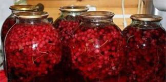 Bird cherry compote for the winter