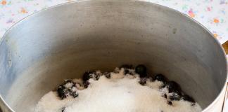 مربى الكشمش الأسود: كيفية طهي مربى الكشمش بشكل صحيح