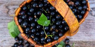 Përmbajtja kalorike e rrush pa fara e zezë dhe përfitimet e saj për humbjen e peshës Përmbajtja kalorike e reçelit të rrushit