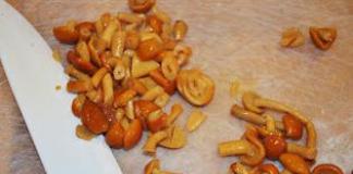 Recetë për sallatë kërpudhash me agarikë mjalti me foto me pulë dhe djathë